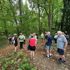 Wald 17. archäologische Radtour